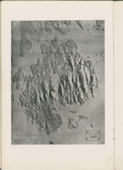 675211c3285753.65067080.pdf page 31