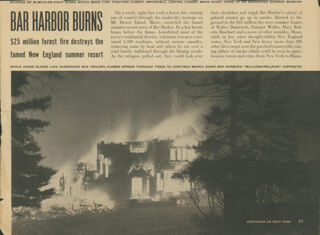 Bar Harbor Burns