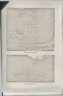 675213065f1f76.97629439.pdf page 7