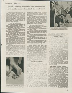 675213167c26a3.38857812.pdf page 3