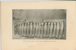 675213229e54a7.74606115.pdf page 19