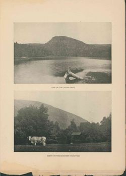 675214a526c993.73748339.pdf page 15