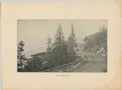 675214a526c993.73748339.pdf page 34