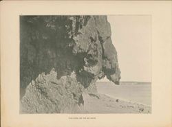 675214a526c993.73748339.pdf page 42