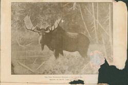 675214a6890634.92455816.pdf page 21