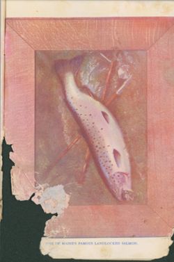 675214a6890634.92455816.pdf page 23