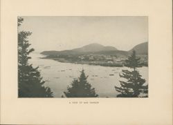 675214f7903801.54992969.pdf page 11