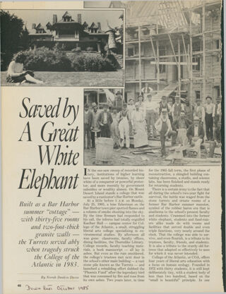 Saved by A Great White Elephant (Turrets)