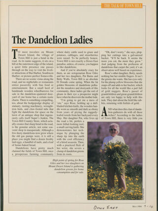 The Dandelion Ladies