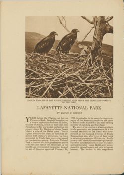 67521770dfd0d8.43411957.pdf page 2