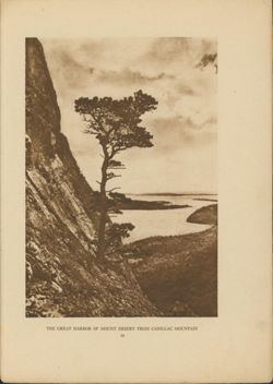 67521770dfd0d8.43411957.pdf page 3