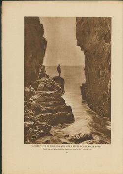 67521770dfd0d8.43411957.pdf page 10