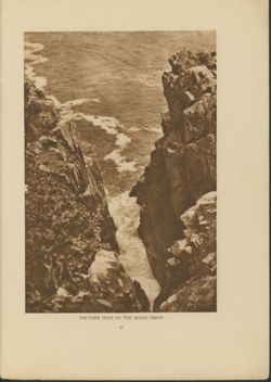 67521770dfd0d8.43411957.pdf page 11