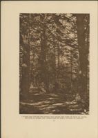 67521770dfd0d8.43411957.pdf page 12