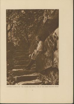 67521770dfd0d8.43411957.pdf page 13