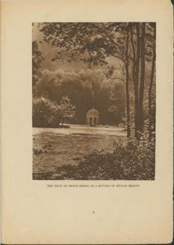 67521770dfd0d8.43411957.pdf page 16