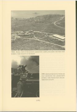 67521779b1e1f2.36576392.pdf page 17