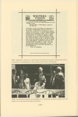 67521779b1e1f2.36576392.pdf page 22