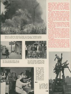 6752177d83ebd3.51873398.pdf page 4