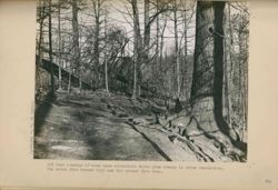 675217972c1b02.97321308.pdf page 62