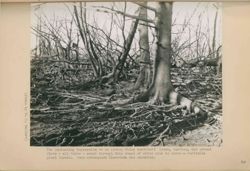 675217972c1b02.97321308.pdf page 63