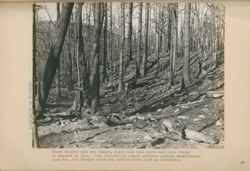 675217972c1b02.97321308.pdf page 64