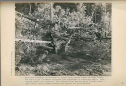 675217972c1b02.97321308.pdf page 65