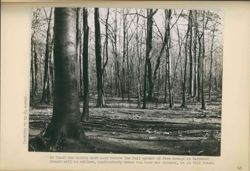 675217972c1b02.97321308.pdf page 69