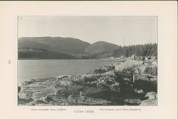 67521799e30233.78273323.pdf page 13