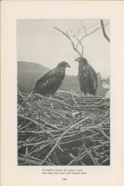 67521799e30233.78273323.pdf page 15