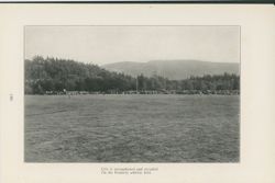 67521799e30233.78273323.pdf page 17