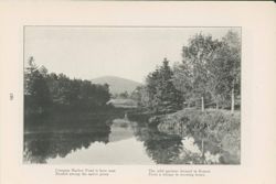 67521799e30233.78273323.pdf page 19