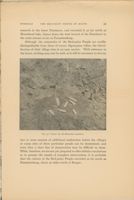675217ab295d40.36426646.pdf page 3