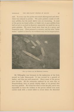 675217ab295d40.36426646.pdf page 11