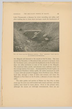 675217ab295d40.36426646.pdf page 13