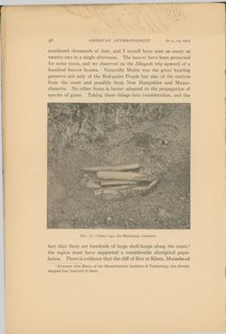 675217ab295d40.36426646.pdf page 14