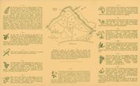 675217caf36883.42750564.pdf page 2