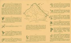 675217caf36883.42750564.pdf page 2