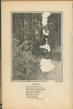 675217df1f9207.75767673.pdf page 13