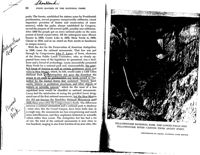 67521be6e41315.45531386.pdf page 36