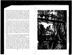 67521bef12f437.11999667.pdf page 29