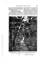67521bf05942b8.59793489.pdf page 73