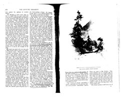 67521c0e8e73d2.29968743.pdf page 11