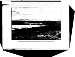 67521c36c69199.59762428.pdf page 23