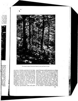 67521c36c69199.59762428.pdf page 25