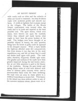 67521dfb60c5c3.17529559.pdf page 24