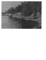 67521e03bc9f27.07709628.pdf page 34