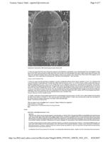 67521e144b3f72.94004324.pdf page 5