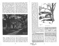 67521e1f745ce3.54396056.pdf page 33