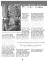 67521e20879936.99822221.pdf page 29